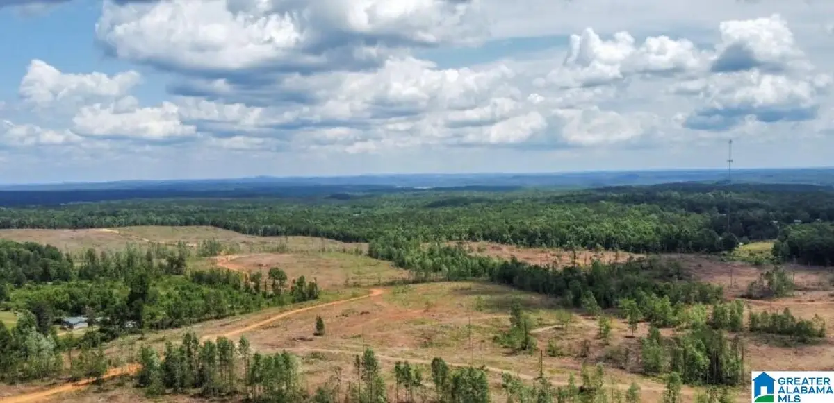 0 COUNTY ROAD 489, Verbena, AL 36091 - Image #1