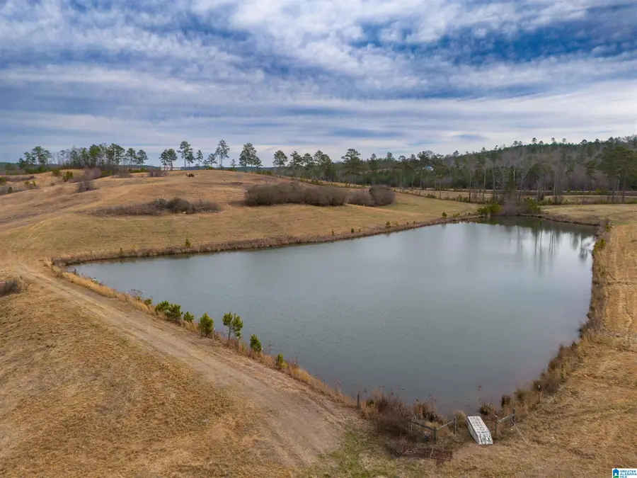 COUNTY ROAD 15, Wedowee, AL 36278 - Image #2