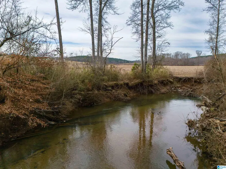 COUNTY ROAD 15, Wedowee, AL 36278 - Image #3