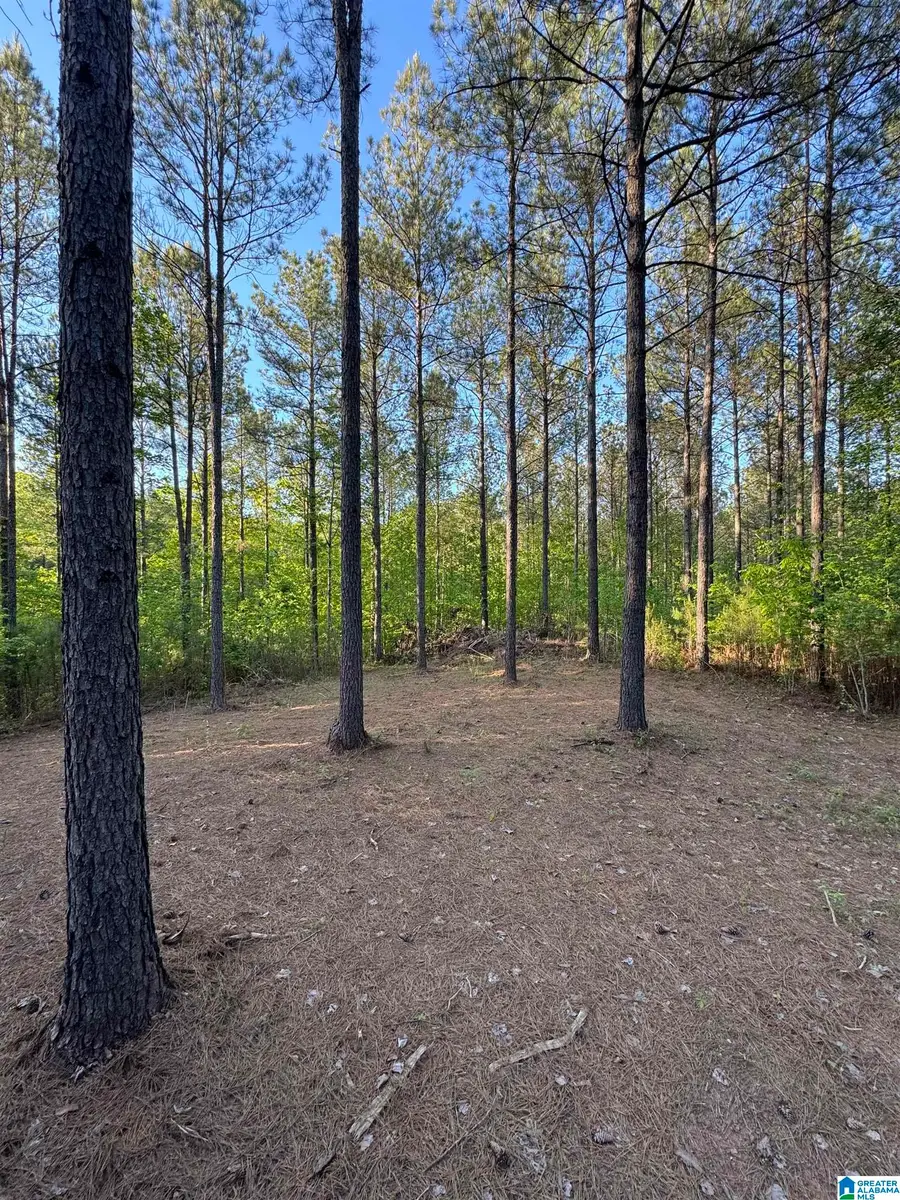 218 FOXTAIL PATH, Westover, AL 35147 - Image #2