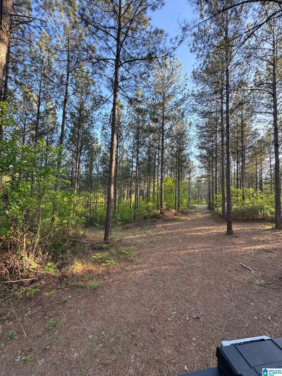 218 FOXTAIL PATH, Westover, AL 35147 - Image #3