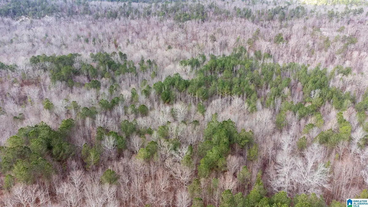 0 COOK SPRINGS ROAD, Odenville, AL 35120 - Image #1