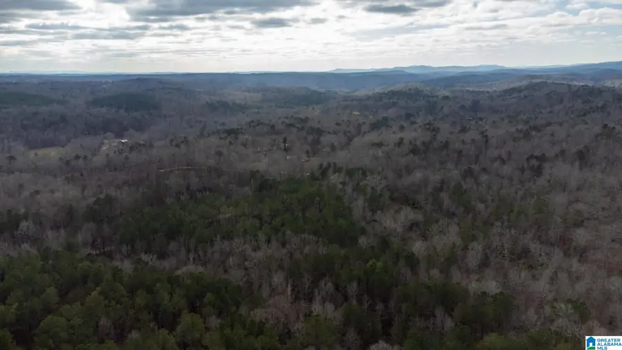 0 COOK SPRINGS ROAD, Odenville, AL 35120 - Image #3