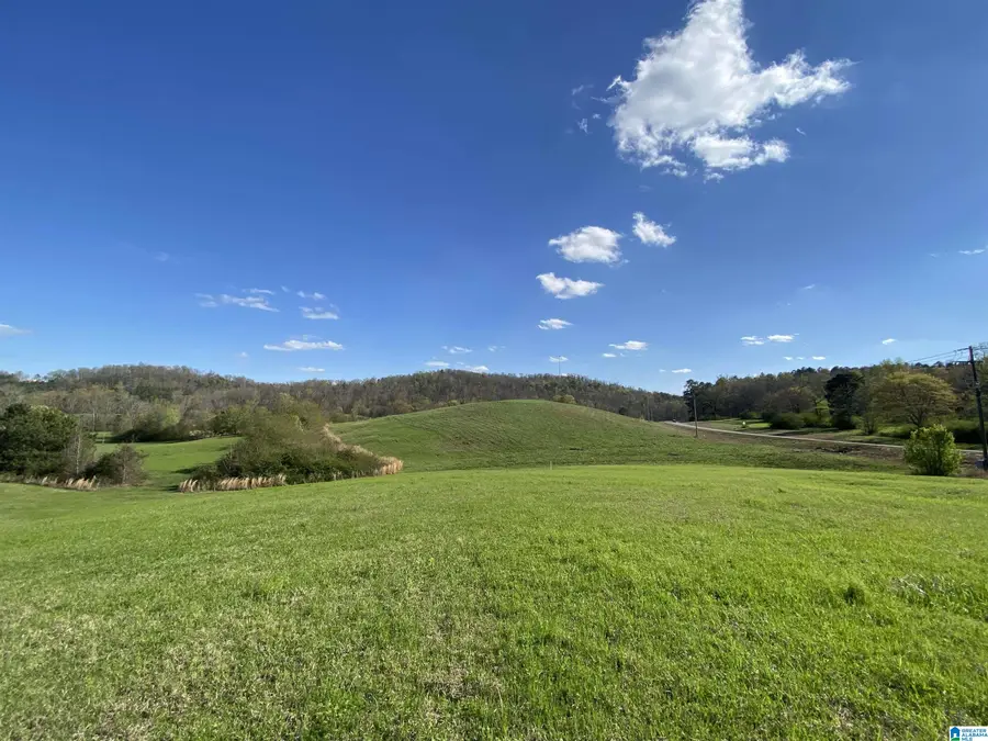 6555 HIGHWAY 174, Springville, AL 35146 - Image #2