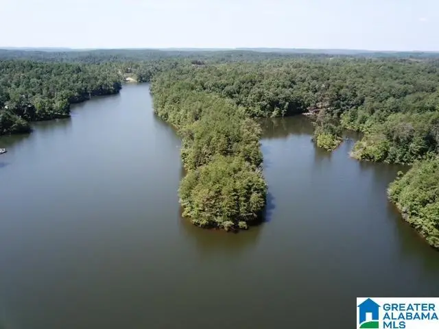 0 SUNNY SIDE DRIVE, Clanton, AL 35045 - Image #1