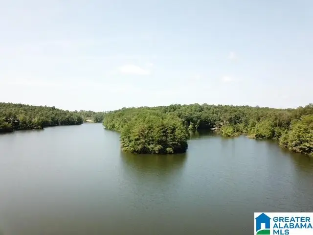 0 SUNNY SIDE DRIVE, Clanton, AL 35045 - Image #2