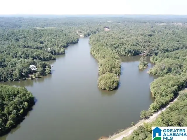 0 SUNNY SIDE DRIVE, Clanton, AL 35045 - Image #3