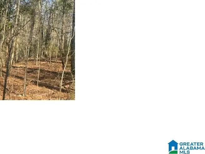 0 UNNAMED ROAD, Alpine, AL 35014 - Image #1