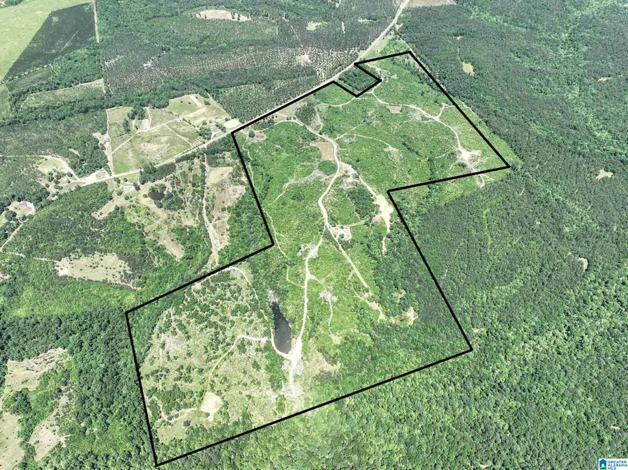 17175 COUNTY ROAD 16, Plantersville, AL 36758 - Image #2