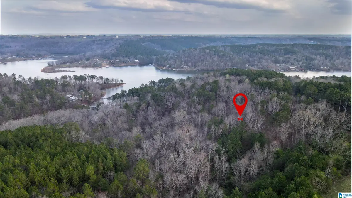 0 CROOKED CREEK ROAD, Crane Hill, AL 35053 - Image #1