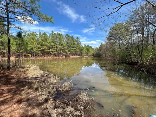 7510 SPRINGER ROAD, Mccalla, AL 35111