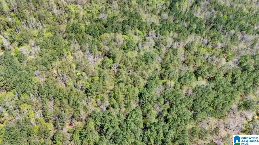 7620 COOK ROAD, Trussville, AL 35173 - Image #2