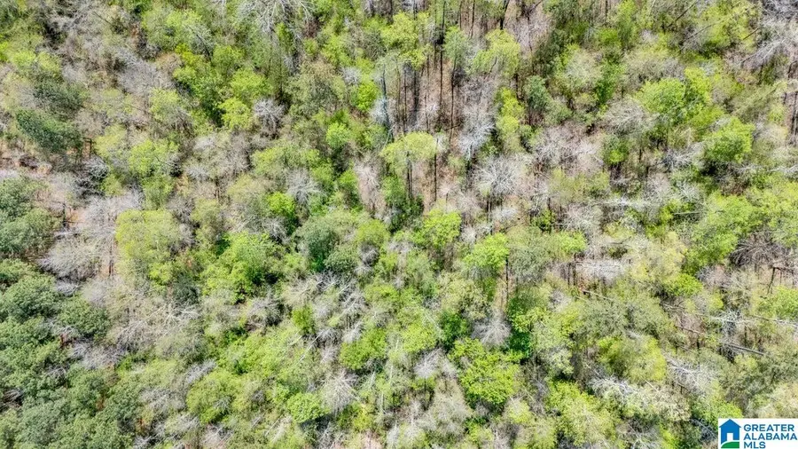 7620 COOK ROAD, Trussville, AL 35173 - Image #3