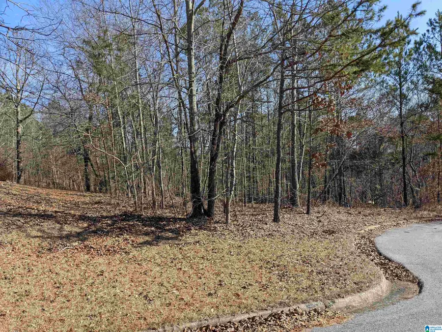 0 (Lot 242) WINFREY LANE, Anniston, AL 36206 - #3