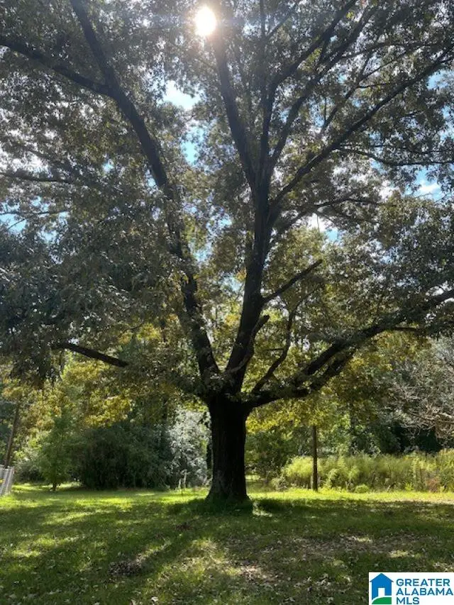 2227 HARRIS WRIGHT DRIVE, Highland Lakes, AL 35242 - Image #1