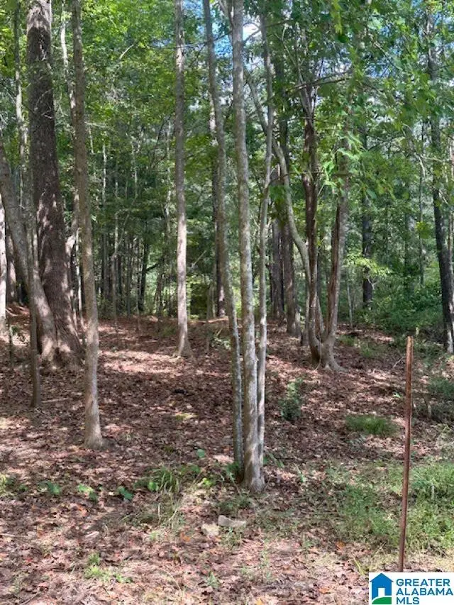 2227 HARRIS WRIGHT DRIVE, Highland Lakes, AL 35242 - Image #3