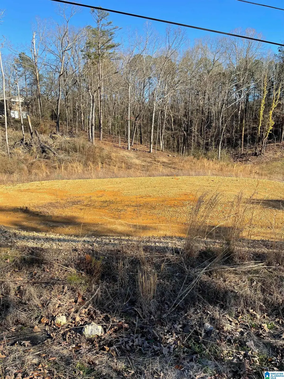 0 W 49TH STREET, Anniston, AL 36206 - Image #1