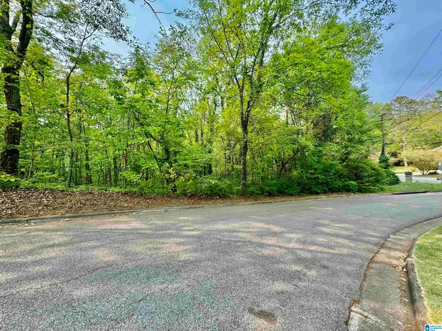 0 WINDSOR CIRCLE, Anniston, AL 36207 - Image #2