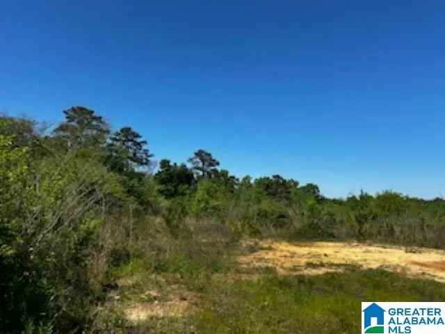 9700 BATES AVENUE, Birmingham, AL 35217 - Image #1