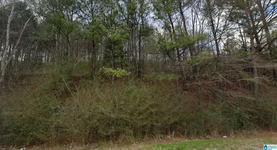 7060 HIGHWAY 79, Pinson, AL 35126 - Image #3