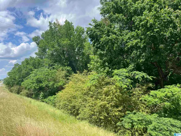 Address Withheld By Seller, Alexander city, AL 35010