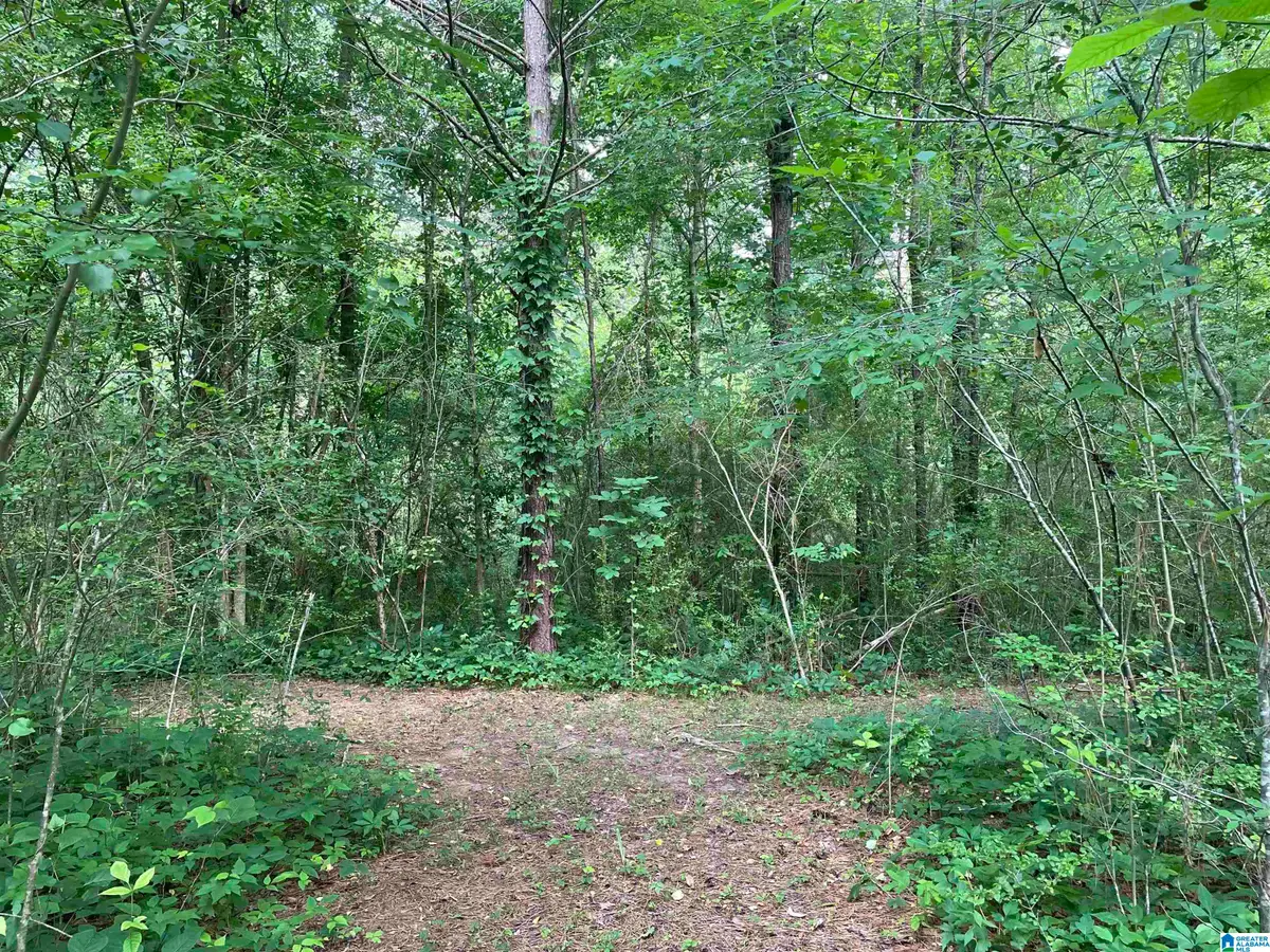 3500 TALLADEGA HIGHWAY, Sylacauga, AL 35150 - #1