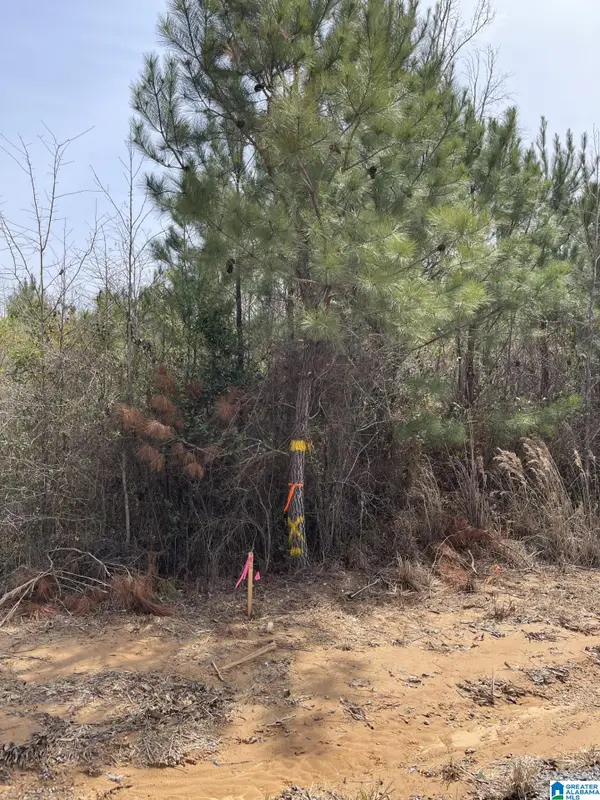 13675 HOSMER ROAD, Vance, AL 35490