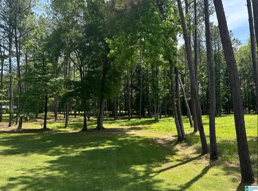 0 ALTAVISTA LANE, Sylacauga, AL 35150 - Image #2