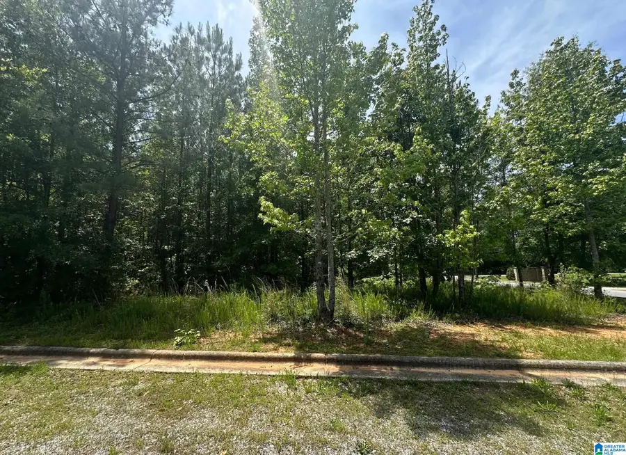 0 CLUB HOUSE ROAD, Sylacauga, AL 35150 - Image #2