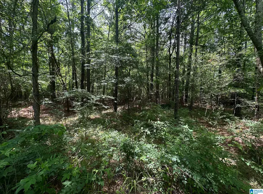 0 CLUB HOUSE ROAD, Sylacauga, AL 35150 - Image #3