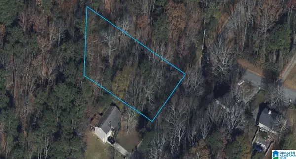 100 PLEASANT VALLEY DRIVE, Birmingham, AL 35217