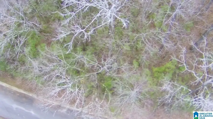 100 PLEASANT VALLEY DRIVE, Birmingham, AL 35217 - Image #2