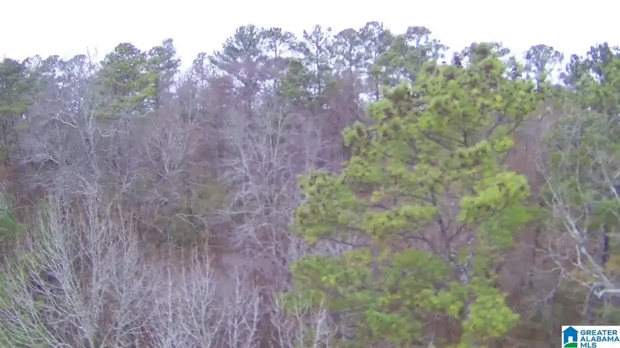 100 PLEASANT VALLEY DRIVE, Birmingham, AL 35217 - Image #3