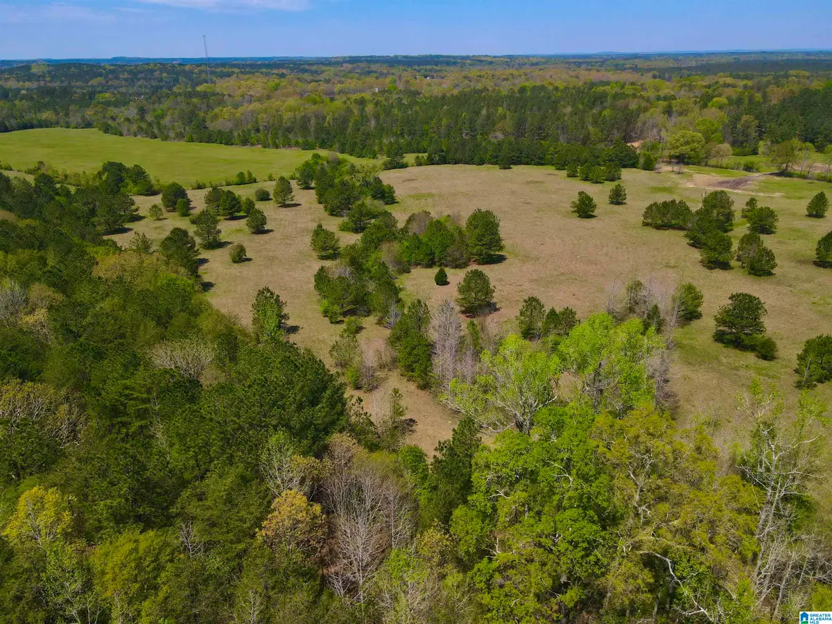 0 HIGHWAY 145, Shelby, AL 35143 - Image #1