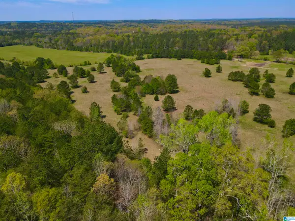 0 HIGHWAY 145, Shelby, AL 35143