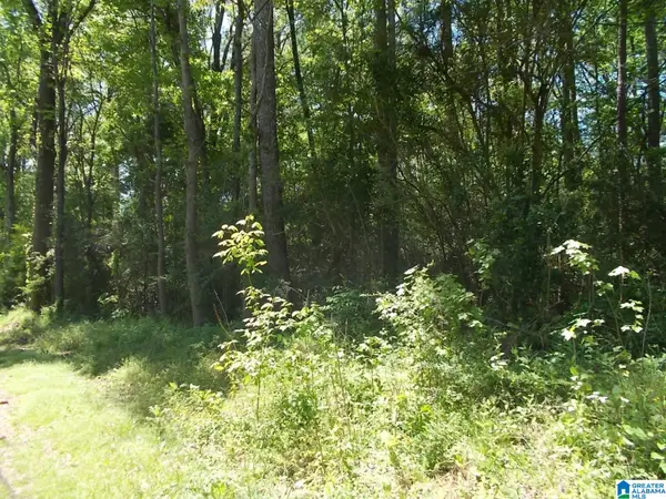 4858 LYNNDALE ROAD, Graysville, AL 35073