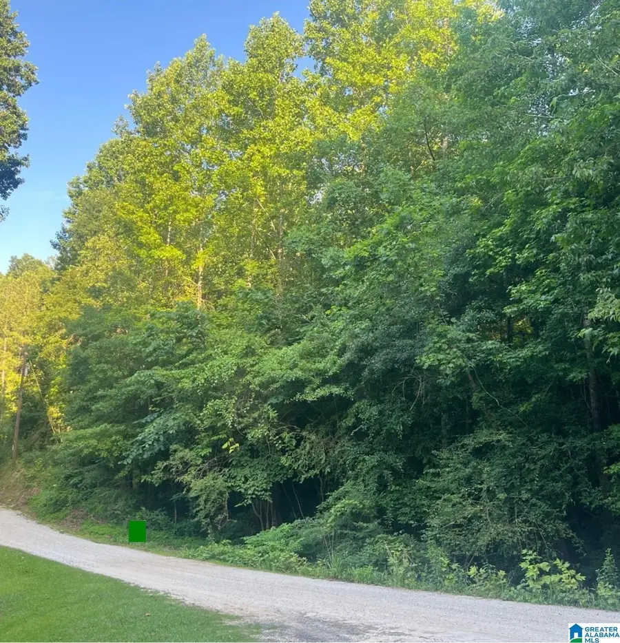 COUNTY ROAD 8023, Lineville, AL 36266 - #2