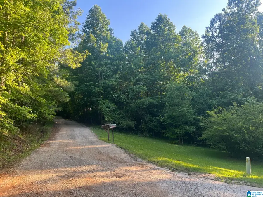 COUNTY ROAD 8023, Lineville, AL 36266 - #3