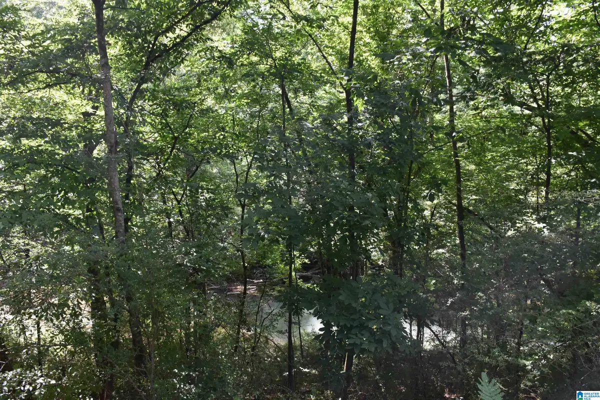 0 OLD SYLACAUGA HIGHWAY, Sylacauga, AL 35150 - Image #1