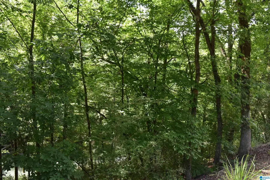 0 OLD SYLACAUGA HIGHWAY, Sylacauga, AL 35150 - Image #2