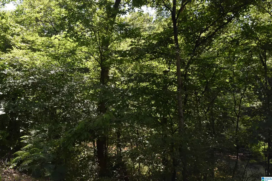 0 OLD SYLACAUGA HIGHWAY, Sylacauga, AL 35150 - Image #3