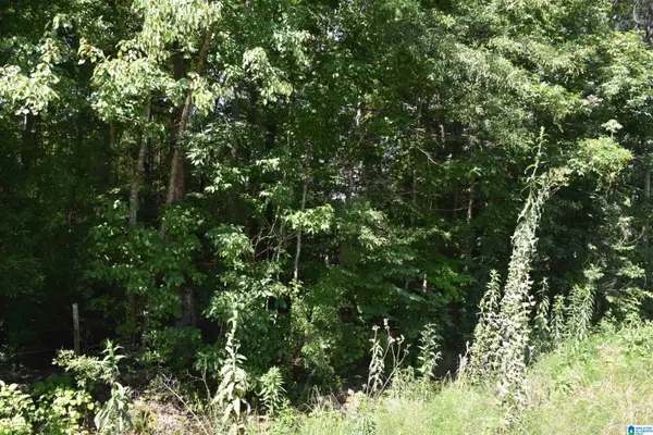 0 OLD SYLACAUGA HIGHWAY, Sylacauga, AL 35150