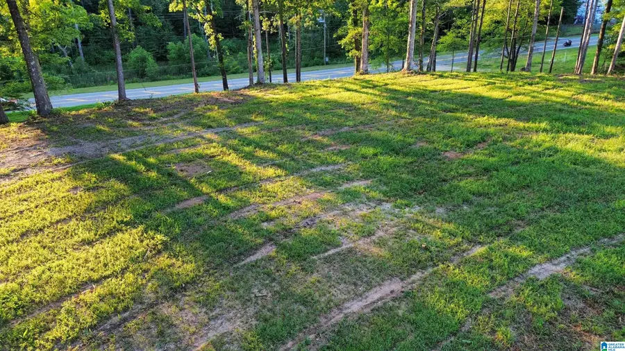 00 HIGHWAY 160, Warrior, AL 35180 - Image #2