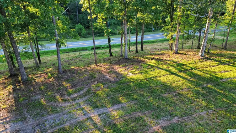 00 HIGHWAY 160, Warrior, AL 35180 - Image #3