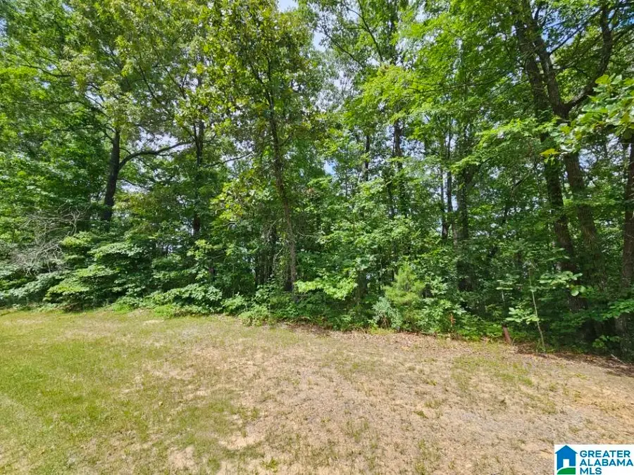 0 ARADON TRACE, Odenville, AL 35120 - Image #2