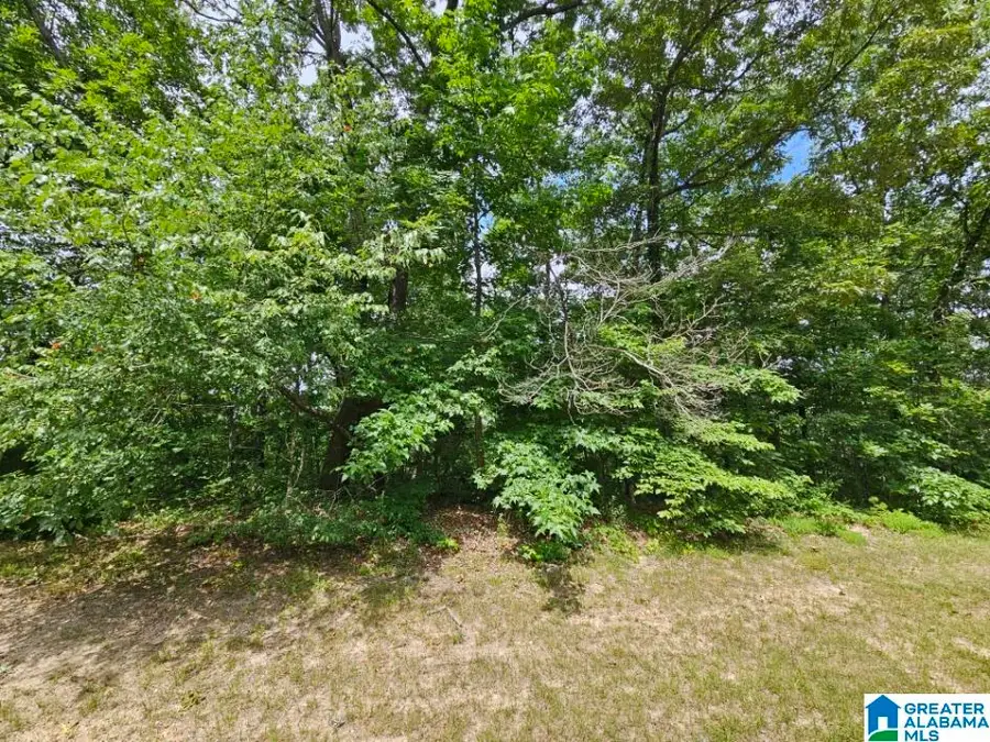 0 ARADON TRACE, Odenville, AL 35120 - Image #3