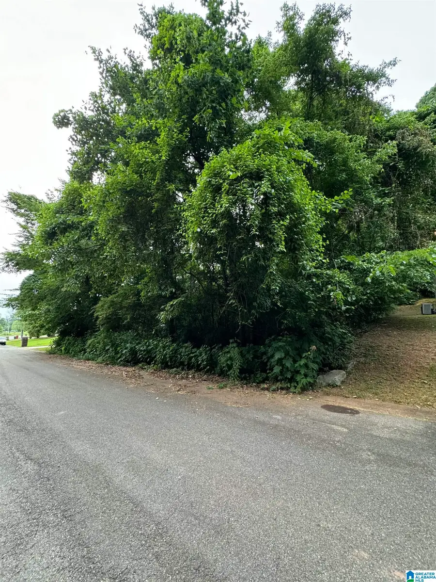 1863 SWEET BRIAR LANE, Birmingham, AL 35235 - Image #2