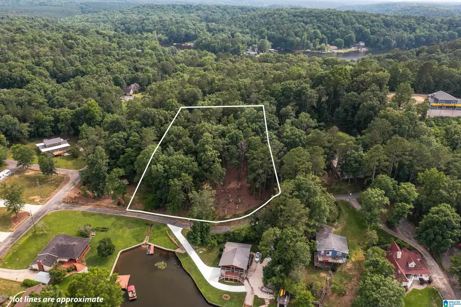 58 E SUNSET BOULEVARD, Oneonta, AL 35121 - Image #3