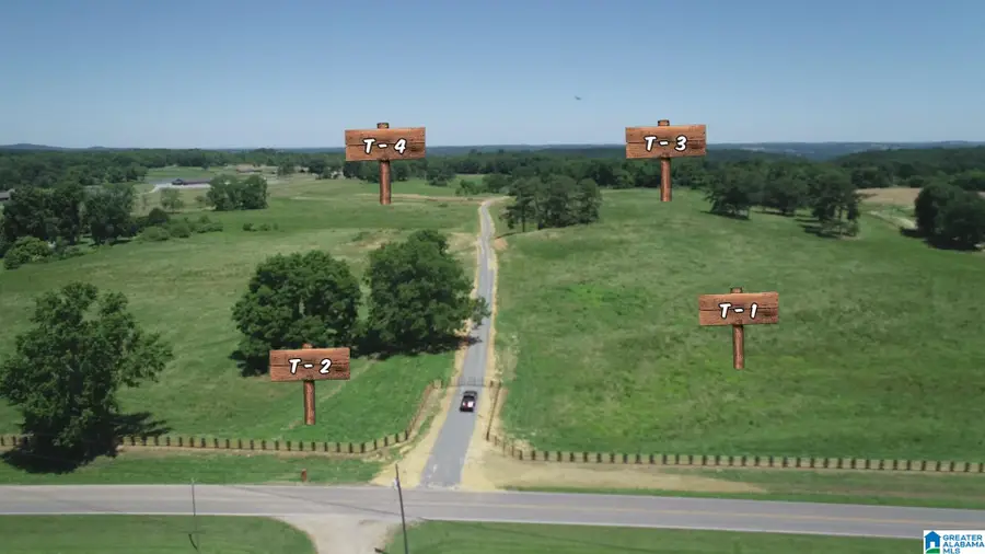 0 HIGHWAY 57, Blountsville, AL 35031 - Image #2