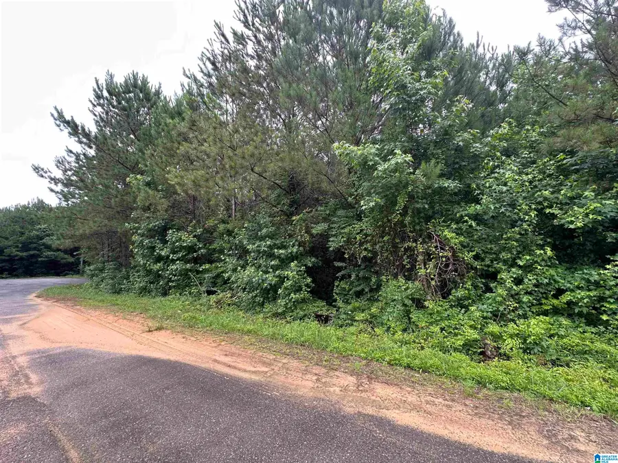 300 VIRGINIA WAY, Margaret, AL 35004 - Image #3